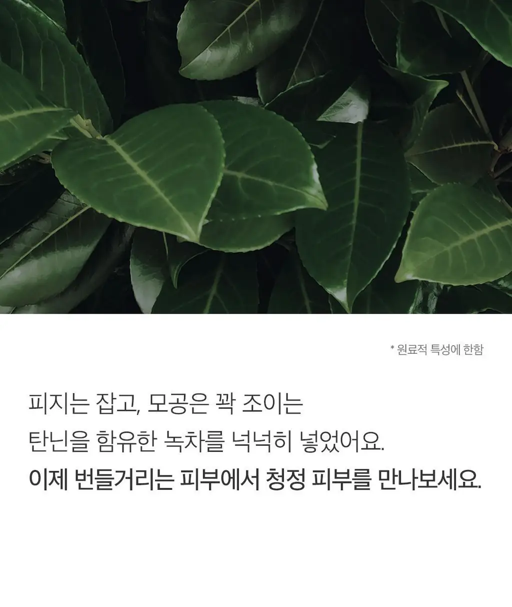 [데일리루틴/산뜻모공] 아리얼 세븐데이즈 마스크 녹차 S 1매 상세페이지 18